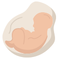 溫和刺激試管嬰兒