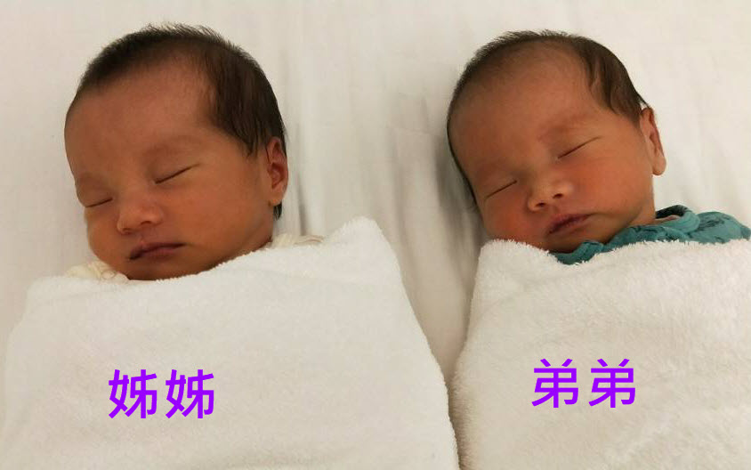 楊O的雙胞胎寶寶出生囉